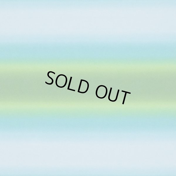 画像4: グラデーション柄/限定カラー(ライム・ターコイズ) (4)