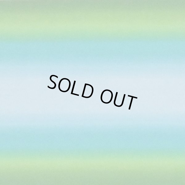 画像5: グラデーション柄/限定カラー(ライム・ターコイズ) (5)