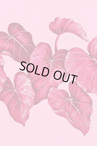 画像2: ポリコットンボーダー柄（ポイ（タロイモ）／ピンク） (2)