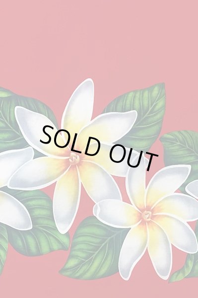 画像2: ポリコットンボーダー柄(ティアレ/レッド) (2)