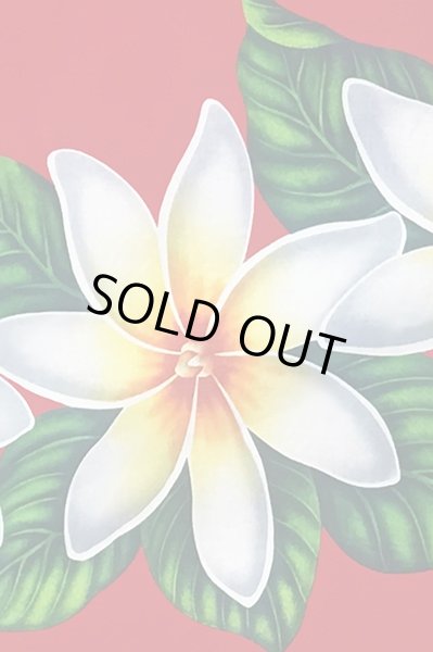 画像3: ポリコットンボーダー柄(ティアレ/レッド) (3)