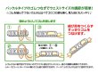 画像4: 【スプリングーセール】パウスカート（珊瑚・貝/ブルー）70cm丈 (4)